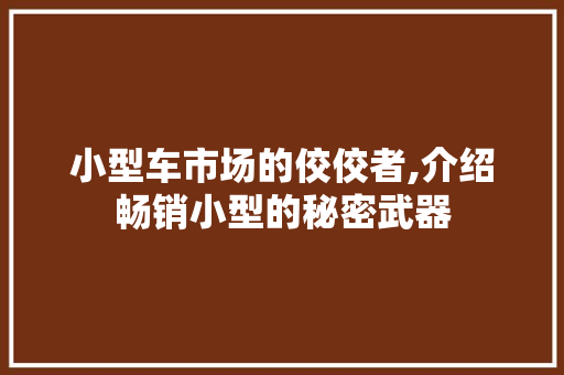 小型车市场的佼佼者,介绍畅销小型的秘密武器 新款车型