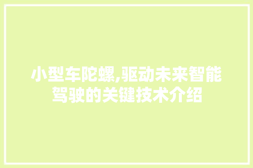 小型车陀螺,驱动未来智能驾驶的关键技术介绍