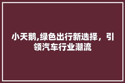 小天鹅,绿色出行新选择，引领汽车行业潮流