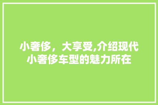 小奢侈，大享受,介绍现代小奢侈车型的魅力所在