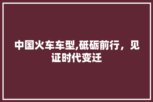 中国火车车型,砥砺前行，见证时代变迁