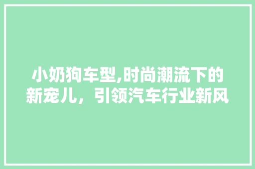小奶狗车型,时尚潮流下的新宠儿，引领汽车行业新风向