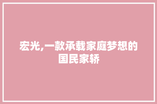 宏光,一款承载家庭梦想的国民家轿