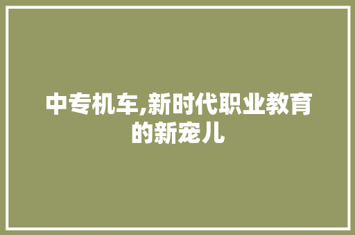 中专机车,新时代职业教育的新宠儿