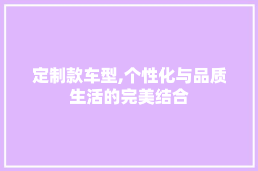定制款车型,个性化与品质生活的完美结合 新能源汽车