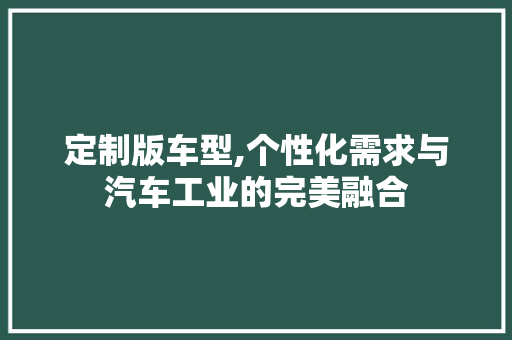 定制版车型,个性化需求与汽车工业的完美融合