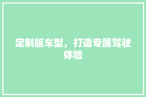 定制版车型，打造专属驾驶体验