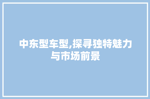 中东型车型,探寻独特魅力与市场前景