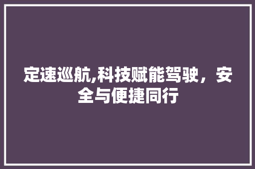 定速巡航,科技赋能驾驶，安全与便捷同行