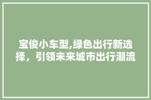 宝俊小车型,绿色出行新选择，引领未来城市出行潮流