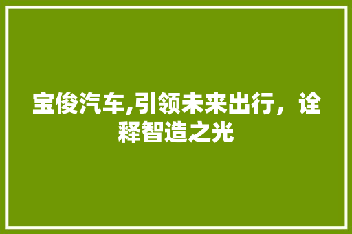 宝俊汽车,引领未来出行，诠释智造之光 底盘配件