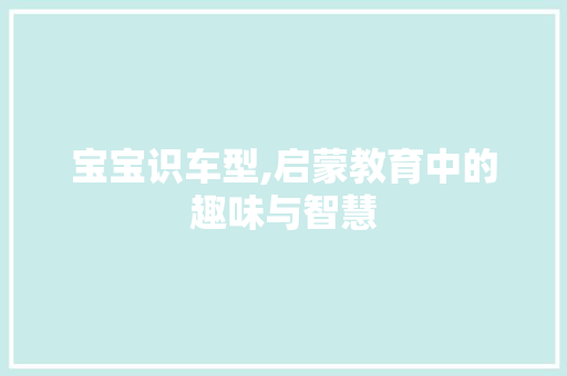 宝宝识车型,启蒙教育中的趣味与智慧