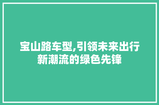 宝山路车型,引领未来出行新潮流的绿色先锋