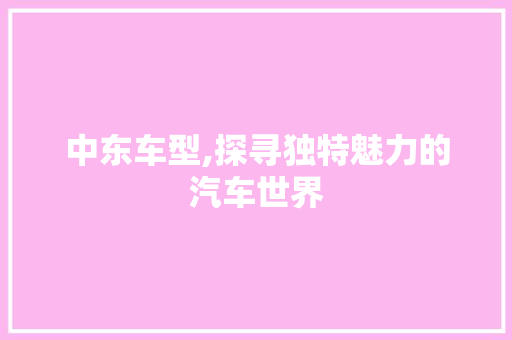 中东车型,探寻独特魅力的汽车世界