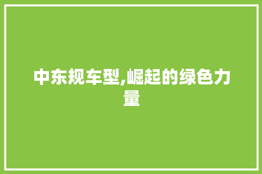 中东规车型,崛起的绿色力量