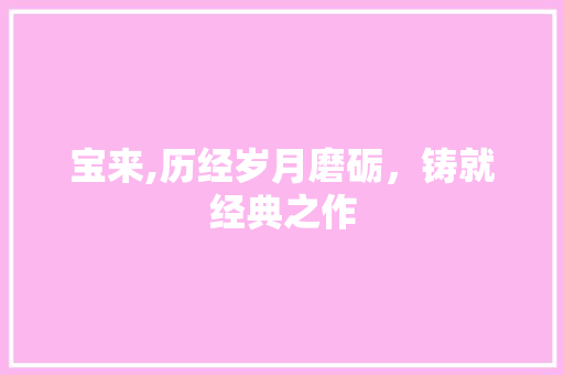 宝来,历经岁月磨砺，铸就经典之作