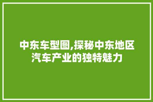 中东车型图,探秘中东地区汽车产业的独特魅力