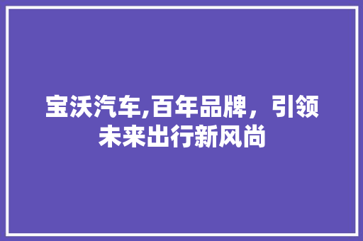 宝沃汽车,百年品牌，引领未来出行新风尚