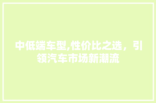 中低端车型,性价比之选，引领汽车市场新潮流