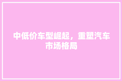 中低价车型崛起，重塑汽车市场格局