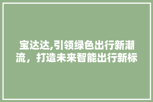 宝达达,引领绿色出行新潮流，打造未来智能出行新标杆