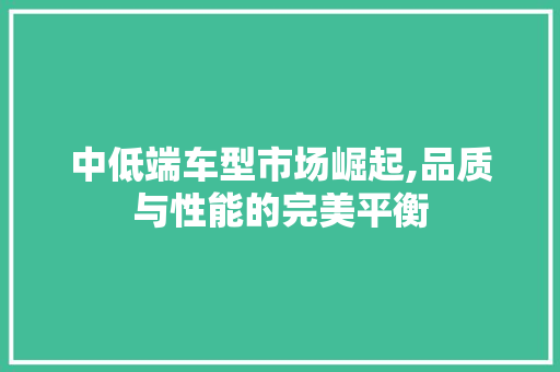 中低端车型市场崛起,品质与性能的完美平衡