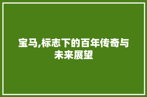 宝马,标志下的百年传奇与未来展望