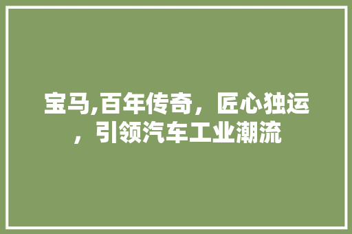 宝马,百年传奇，匠心独运，引领汽车工业潮流