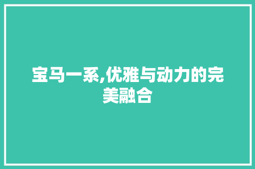 宝马一系,优雅与动力的完美融合