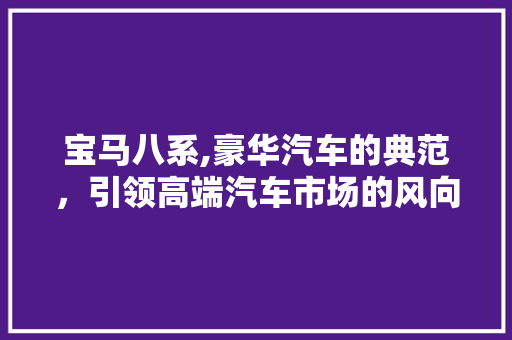 宝马八系,豪华汽车的典范，引领高端汽车市场的风向标