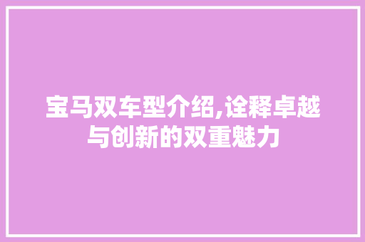 宝马双车型介绍,诠释卓越与创新的双重魅力