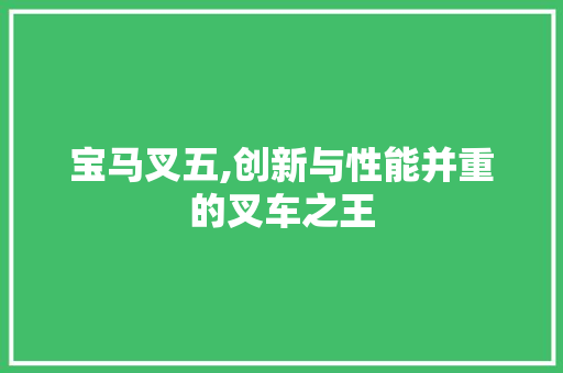 宝马叉五,创新与性能并重的叉车之王