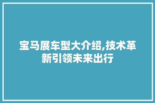宝马展车型大介绍,技术革新引领未来出行