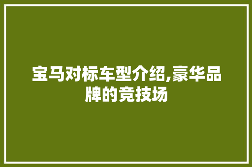 宝马对标车型介绍,豪华品牌的竞技场