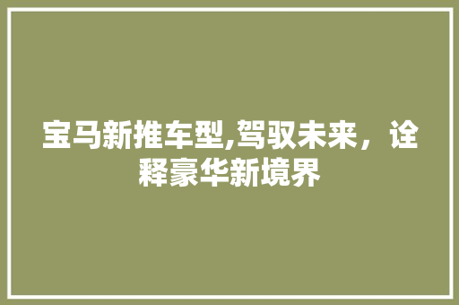 宝马新推车型,驾驭未来，诠释豪华新境界
