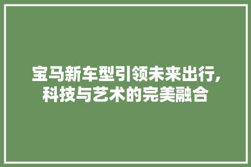 宝马新车型引领未来出行,科技与艺术的完美融合