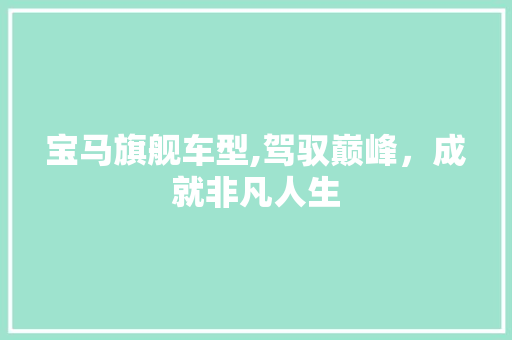 宝马旗舰车型,驾驭巅峰，成就非凡人生