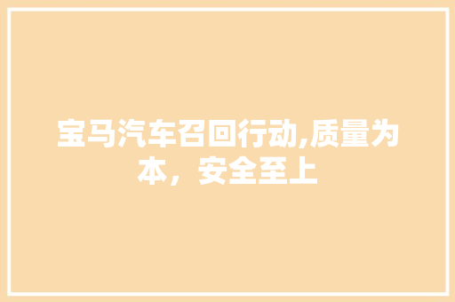 宝马汽车召回行动,质量为本，安全至上 汽车配件
