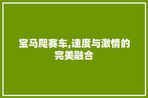 宝马爬赛车,速度与激情的完美融合