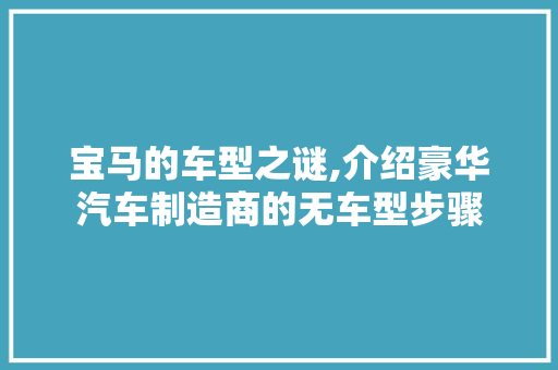 宝马的车型之谜,介绍豪华汽车制造商的无车型步骤