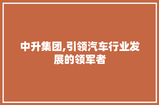 中升集团,引领汽车行业发展的领军者