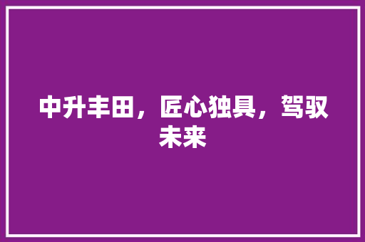 中升丰田，匠心独具，驾驭未来 变速箱配件