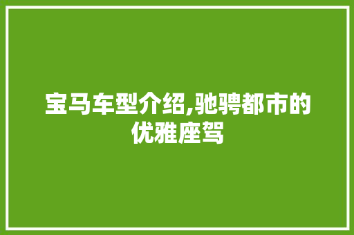 宝马车型介绍,驰骋都市的优雅座驾