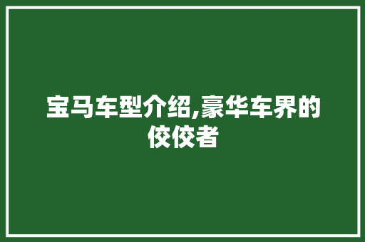 宝马车型介绍,豪华车界的佼佼者