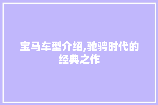 宝马车型介绍,驰骋时代的经典之作