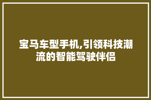 宝马车型手机,引领科技潮流的智能驾驶伴侣