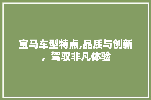 宝马车型特点,品质与创新，驾驭非凡体验