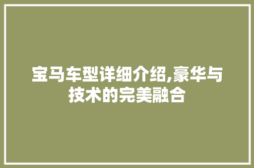 宝马车型详细介绍,豪华与技术的完美融合