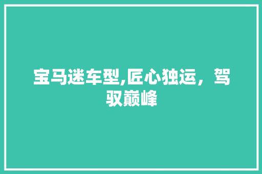 宝马迷车型,匠心独运，驾驭巅峰