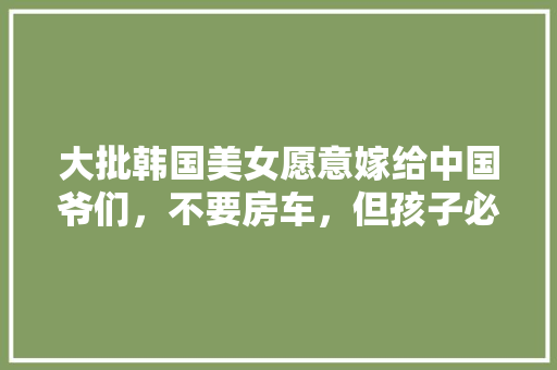 2023年主流车型大横评,性能与舒适的完美平衡
